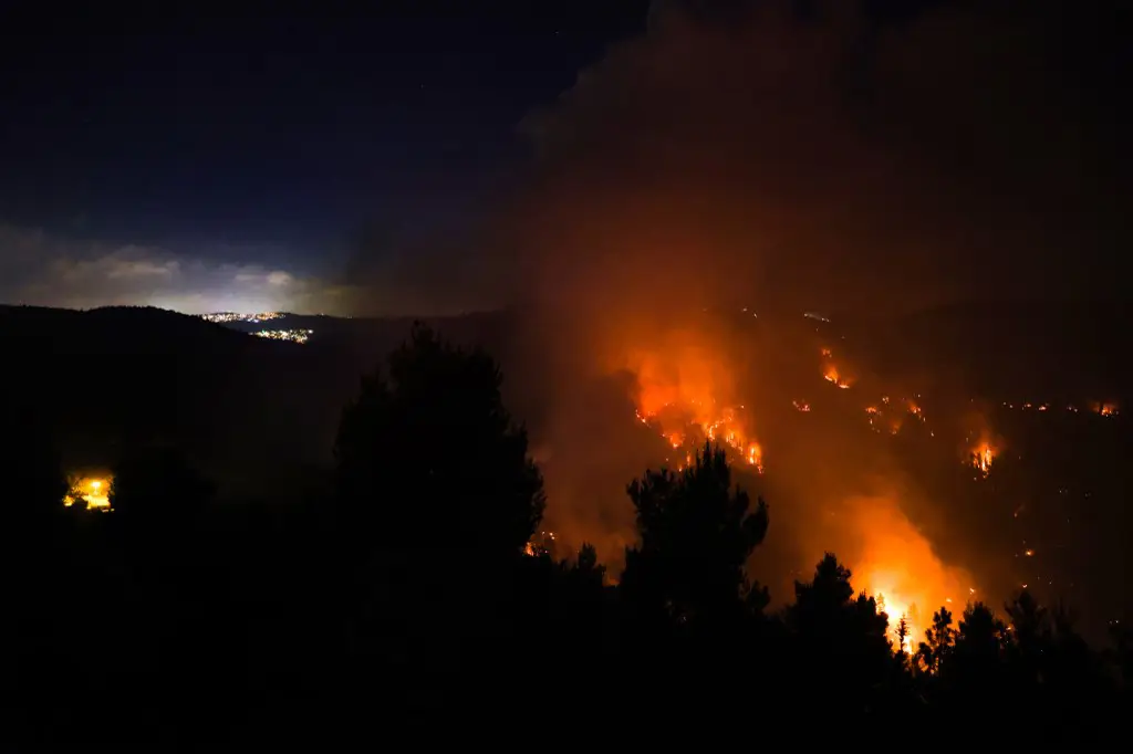 Najveći šumski požari u Izraelu od Karmela 2010: Analiza i posledice